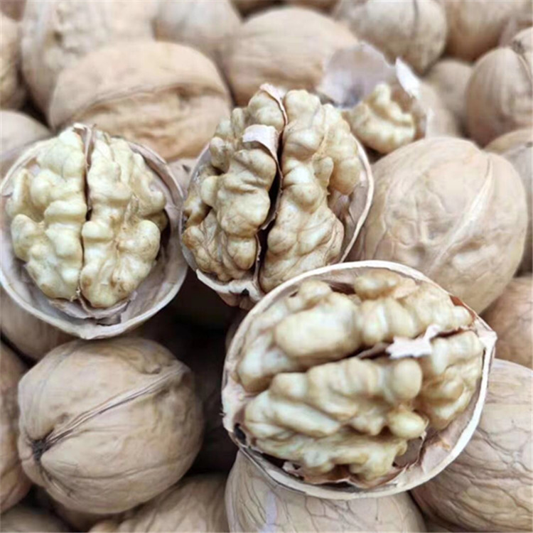 Xinjiang Paper-Skinned Walnuts Wholesale in Large Quantities, Aksu Hand-Punched Raw Walnuts in Bulk, 185 Nuts