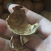 Xinjiang Paper-Skinned Walnuts Wholesale in Large Quantities, Aksu Hand-Punched Raw Walnuts in Bulk, 185 Nuts