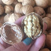 Xinjiang Paper-Skinned Walnuts Wholesale in Large Quantities, Aksu Hand-Punched Raw Walnuts in Bulk, 185 Nuts