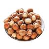 Large Hazelnuts, Hazelnuts, Shelled Hazelnuts, Hand-Cracked Hazelnuts