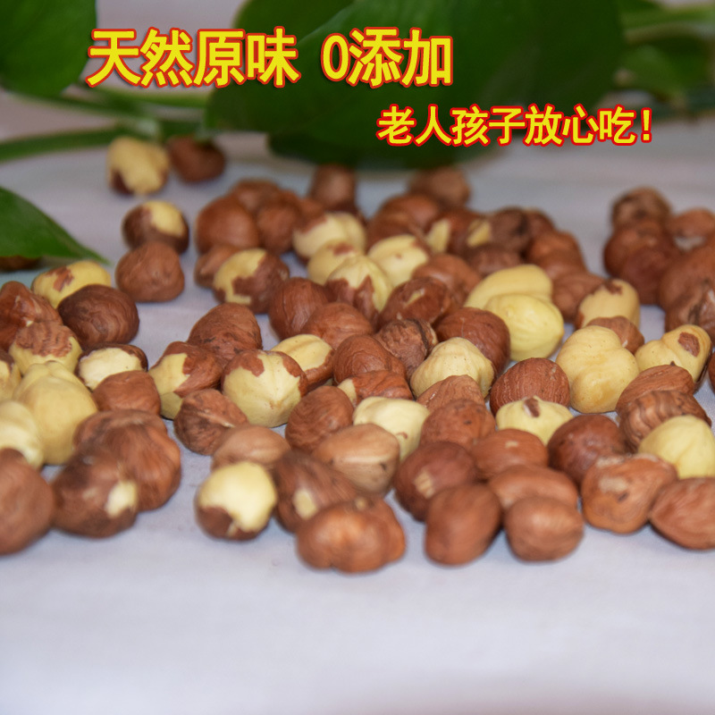 Best Hazelnut Snacks 2025 New Northeast Specialty 500g Manufacturer Wholesale Large Hazelnut Kernels Roasted Nuts