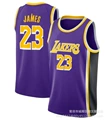 Lakers no. 23 purple