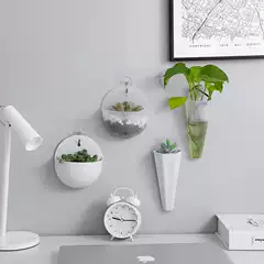 Hydroponic Wall Hanging Flower Pot Wall Hanging Vase Lazy Plastic Wall Hanging Pothos Hanging Flower Pot with Hook