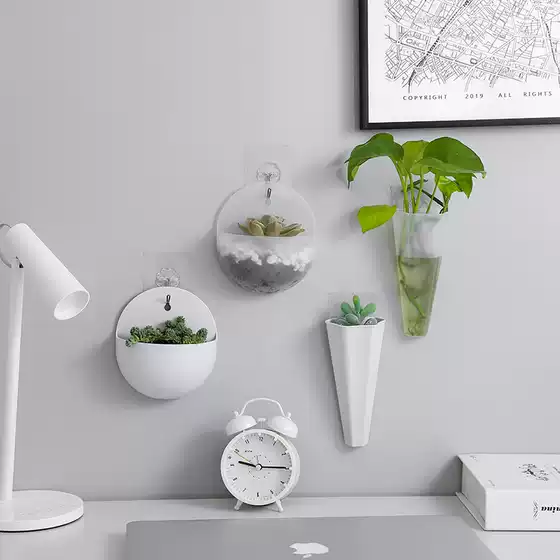 Hydroponic Wall Hanging Flower Pot Wall Hanging Vase Lazy Plastic Wall Hanging Pothos Hanging Flower Pot with Hook