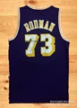 Lakers retro purple jersey #73