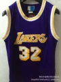 Lakers no. 32 retro purple