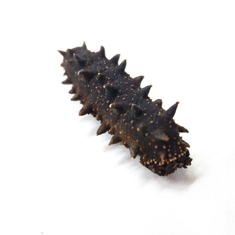 [National Standard Sea Cucumber] Dalian Pure Light Dried Special Grade Sea Cucumber Dried Goods Wholesale Nourishing Liao Cucumber Super Physical Supply