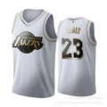 Lakers #23 platinum