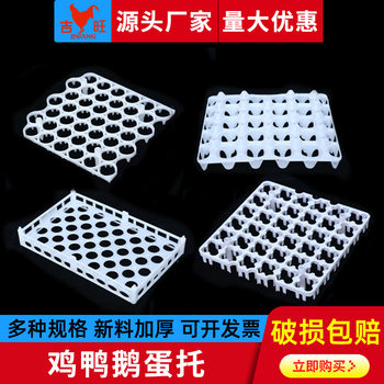 Jiwang plastic industry plastic egg tray 30 25 positive and negative plastic packaging 36 egg tray 150 wholesale