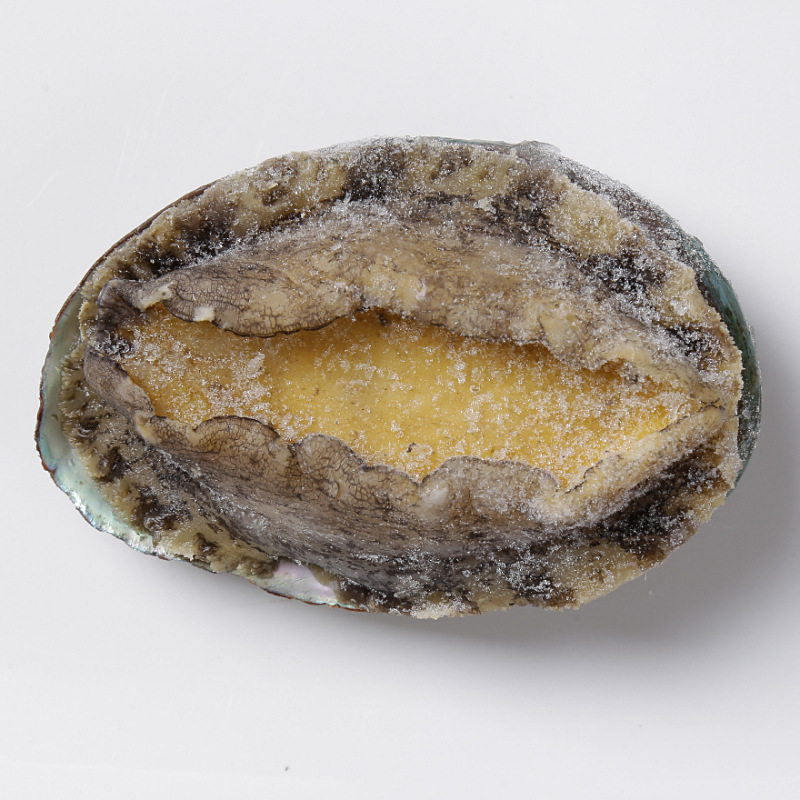 Captain Jiang's Gutted Cooked Frozen Abalone with Teeth Removed and Substituted for Internal Organs 260g 8 Capsules Packed with Liquid Nitrogen to Lock in Freshness, Self-Sold by Fujian Manufacturer