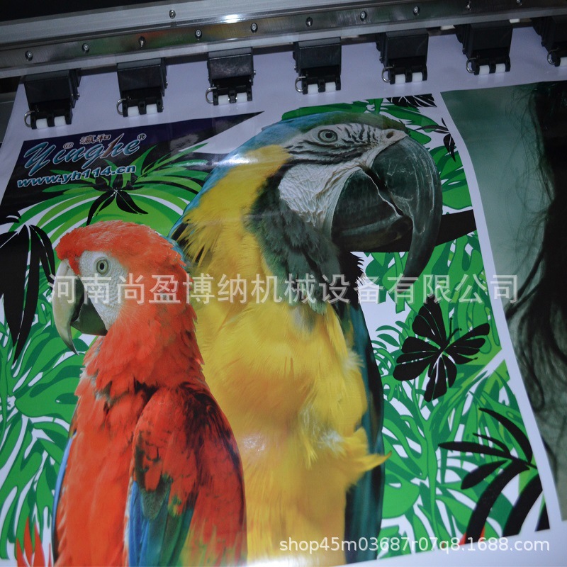 Rice Paper Inkjet Printer Oil Painting Photo Printer 1.9m Wide Format Clothing Polyester Fabric Sublimation Printer