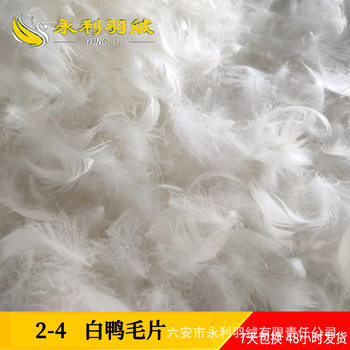 Feather Down Used for Sofa Pillow Core Mattress No Spicy High Fluffy Clean Five Compartment 2-4 Washed White Duck Fur Piece