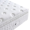 Westin Hotel Double-Layer Independent Pocket Spring Mini Latex Simmons Natural Latex Mattress Bedroom Home Bed
