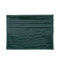 Crocodile Green