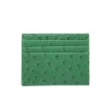 Ostrich pattern Green