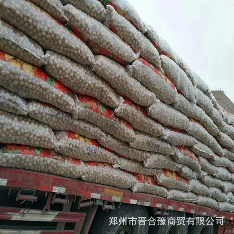 25-Year-Old New Xinjiang Specialty 185 Thin-Skinned Paper-Skinned Walnuts, Happiness 33 Thin-Skinned Walnuts