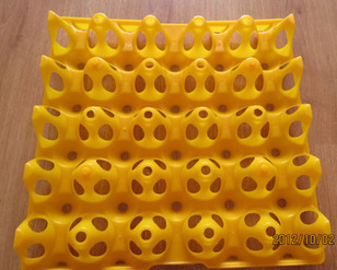 Golden Phoenix plastic 20 pieces duck egg tray goose egg tray can hold 130g eggs 28.5*28.5/165g