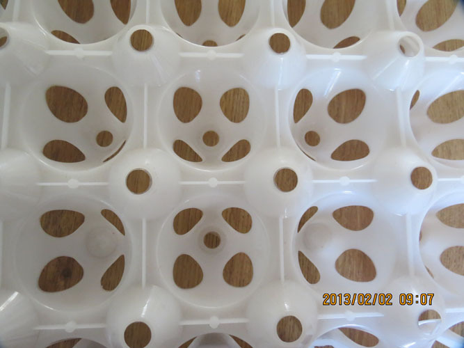Golden Phoenix plastic 20 pieces duck egg tray goose egg tray can hold 130g eggs 28.5*28.5/165g