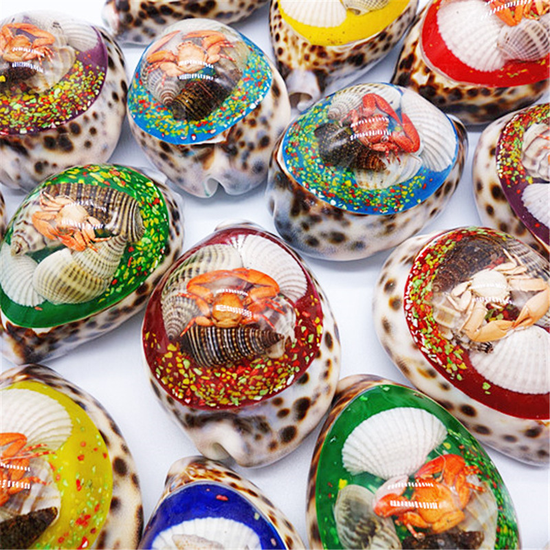 Factory Wholesale Big Amber Conch Shell Crafts Home Decoration Decorative Aquarium Fish Tank Landscape Landscaping