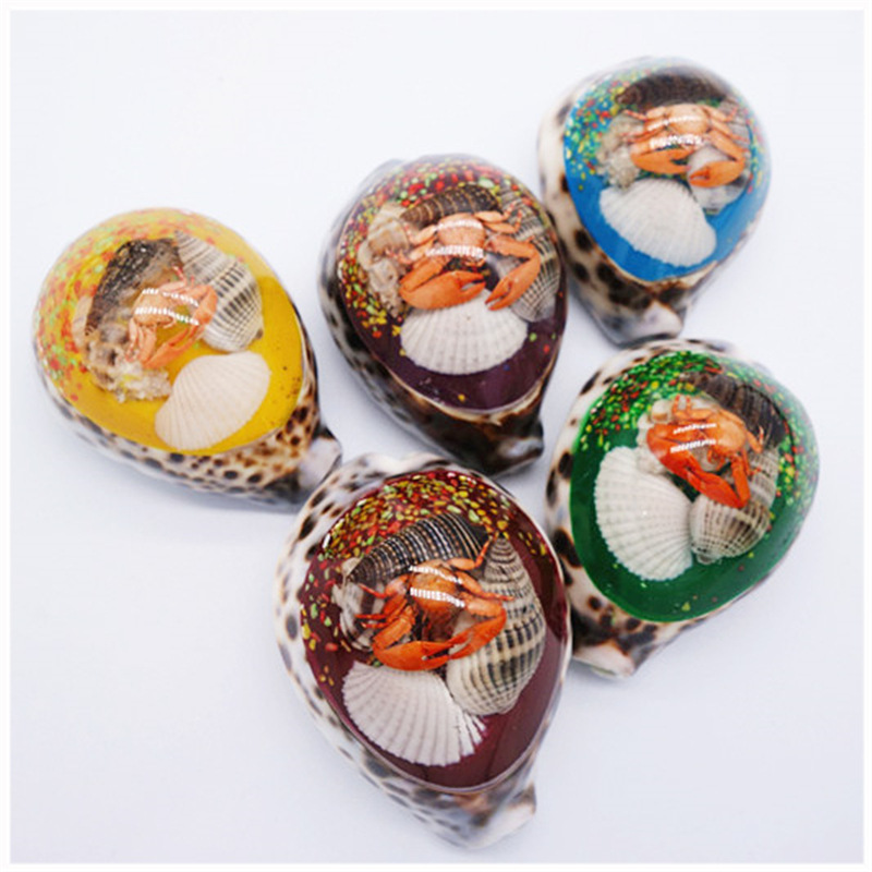 Factory Wholesale Big Amber Conch Shell Crafts Home Decoration Decorative Aquarium Fish Tank Landscape Landscaping