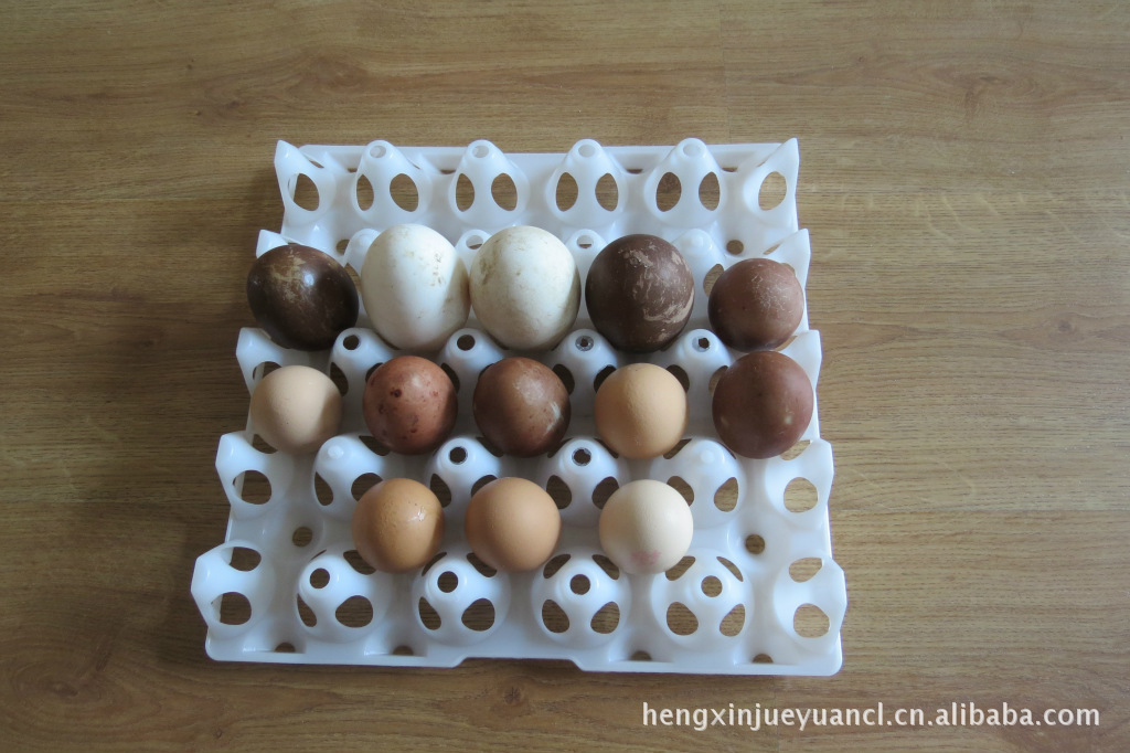 Golden Phoenix plastic 20 pieces duck egg tray goose egg tray can hold 130g eggs 28.5*28.5/165g