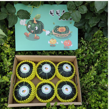 Huihe Beibei No. 1 Pink Panel Chestnut Fragrance Dropshipping Beibei Pumpkin Gift Box Mini Beibei Pumpkin