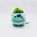 K small eyes wonderful frog seeds