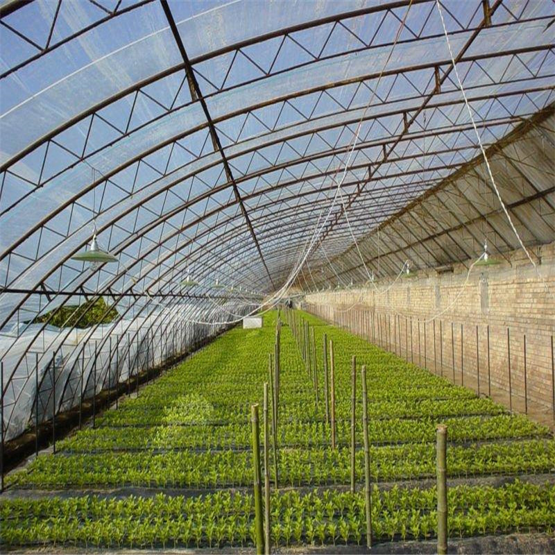 Manufacturer Wholesale Agricultural Greenhouse Film Drip-Free Anti-Fog Film Breeding Film Transparent Greenhouse Anti-Aging Insulation Pe