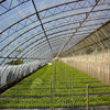Manufacturer Wholesale Agricultural Greenhouse Film Drip-Free Anti-Fog Film Breeding Film Transparent Greenhouse Anti-Aging Insulation Pe