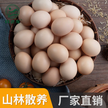 Henan specialty my hometown native eggs a generation of 10-50 farm free-range fresh grass egg manufacturers
