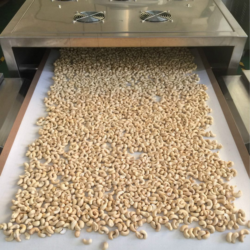 Vietnam original raw cashew nuts 500g cooked cashew nuts bulk wholesale new cashew slices baking pastry raw materials