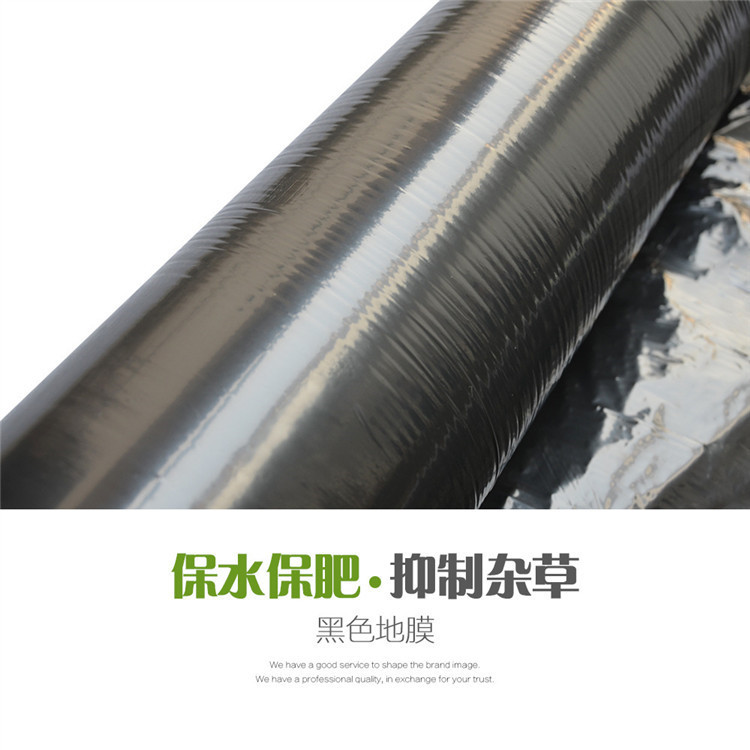 Agricultural Pe Black Mulch Film, Silver Gray Silver Black Perforated Film, Reflective Two-Color Weeding and Insect Suppression Mulch Film, Black and White Film