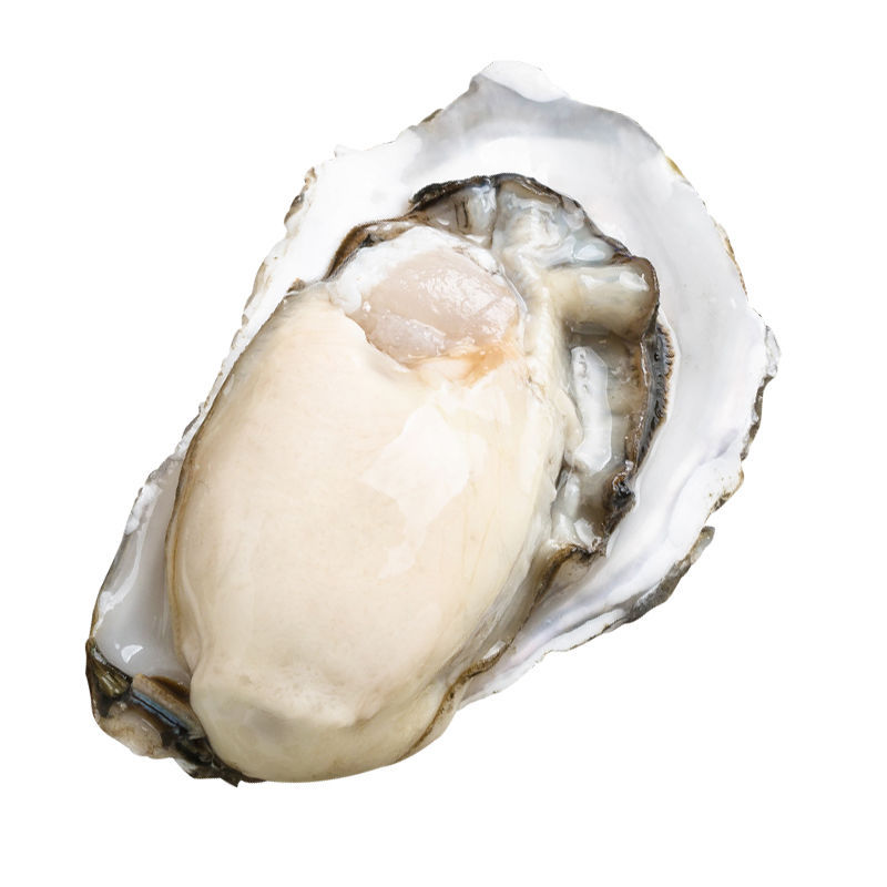 2.5kg Free Shipping Oysters Fresh Oysters Ready-To-Eat Seafood Barbecue Fresh Seafood Shelled Aquatic Products Sea Oysters