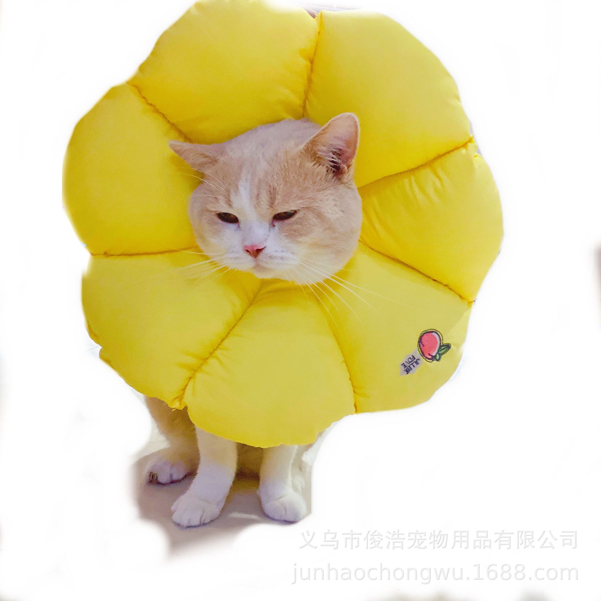 Ins Tarpaulin Cat Pet Petals Elizabethan Hoop Shame Circle Anti-Licking and Biting Cat Moss Drop Shipping