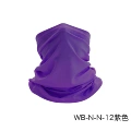 WB-N-N-12 purple
