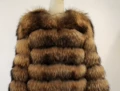 Raccoon fur