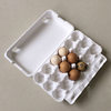 Spot White Pulp 18 Pieces Paper Pulp Egg Tray Fully Degradable Egg Carton Disposable Paper Egg Packaging Wholesale Paper Egg Tray