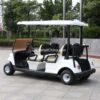 4-seat electric golf cart luxury DG-C4-8 exhibition browsing reception car scenic spot sightseeing car