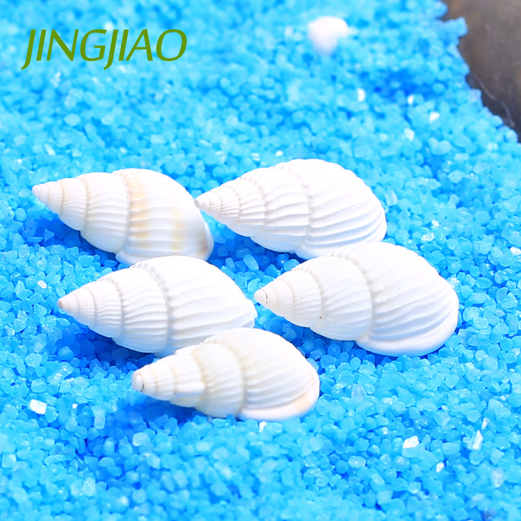 Jingjiao Mini White Conch Small Shell Crafts Micro Landscape Beach DIY Snail Scallop