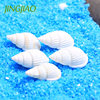 Jingjiao Mini White Conch Small Shell Crafts Micro Landscape Beach DIY Snail Scallop