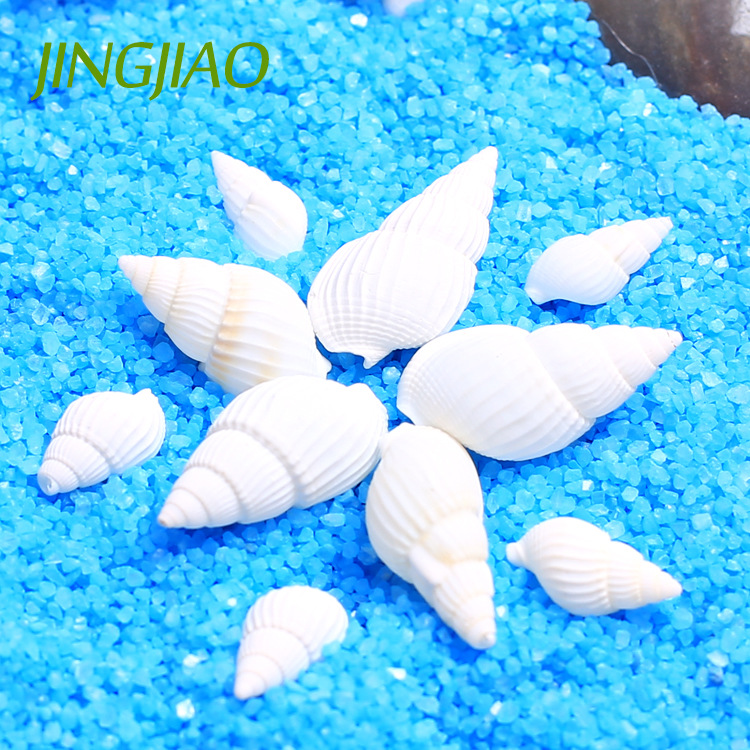 Jingjiao Mini White Conch Small Shell Crafts Micro Landscape Beach DIY Snail Scallop