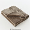 Japanese-style double-layer non-printed thermal fiber thick blanket flannel coral fleece solid color thick blanket