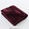 Japanese-style double-layer non-printed thermal fiber thick blanket flannel coral fleece solid color thick blanket
