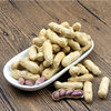 Fujian Longyan Peanuts Boiled White Sun-Dried Salted Dried Peanuts Purple Wet Roasted Red Specialty Garlic Peanuts Four Red