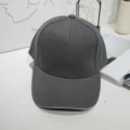 Dark gray trim
