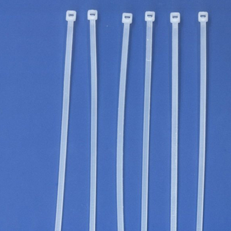 High-Quality Nylon Cable Ties, Environmentally Friendly 3*100 4*150 5*200 8*300 10*400 Plastic Pull-On Straps