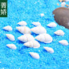 Jingjiao Mini White Conch Small Shell Crafts Micro Landscape Beach DIY Snail Scallop