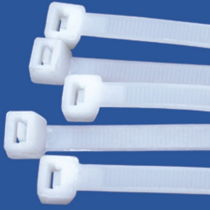 High-Quality Nylon Cable Ties, Environmentally Friendly 3*100 4*150 5*200 8*300 10*400 Plastic Pull-On Straps