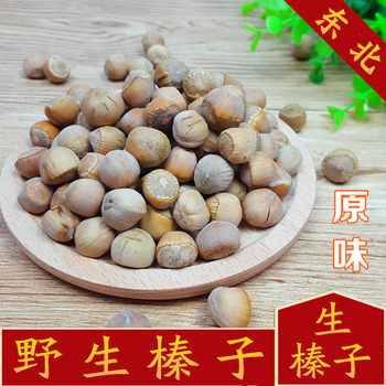 Raw hazelnut wild original flavor hazelnut Daxinganling Mountain Hazelnut Heilongjiang specialty nut new goods 500g free shipping