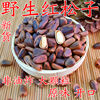 Wild Dried Roasted Red Pine Nuts, Original Flavor, Specialty from Northeast China, New Stock from Heilongjiang, 500g, Free Shipping, Easy to Peel